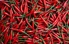 Organic Red Hot Chili Pepper Seeds for a productive addition to the vegetable patch