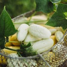 Mini White Cucumber Seeds for growers stocking the vegetable patch