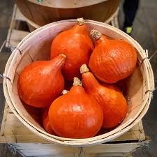 Hubba Hubba Winter Pumpkin Seeds
