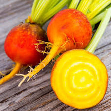 Golden Beet Detroit Seeds for a fresh homegrown crop from the Vegetable Patch Organic Farming