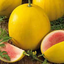 Mixed Rare Chinese Watermelon Seeds (Citrullus lanatus) for productive rows in the Garden & Vegetable Patch