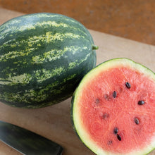 Mini Watermelon Seeds (Citrullus lanatus) for a reliable harvest in the Vegetable Patch & Garden