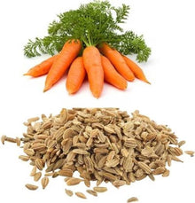 Carrot Beds for planting in home garden.