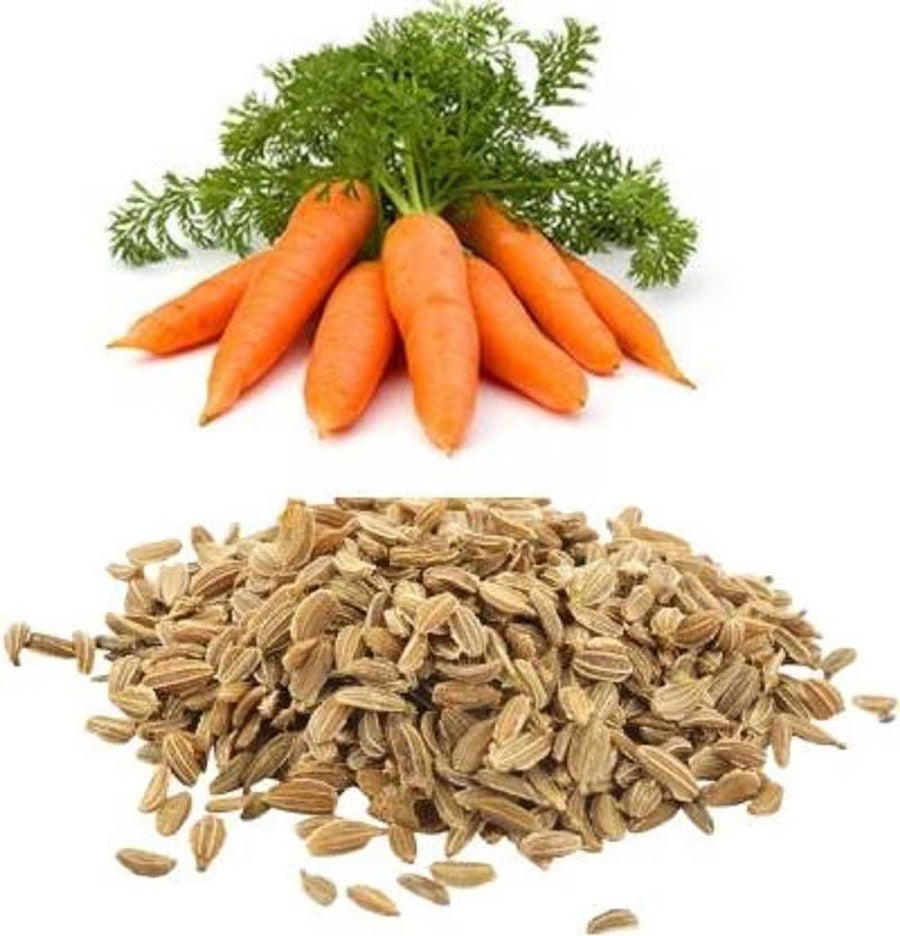 Carrot Beds for planting in home garden.