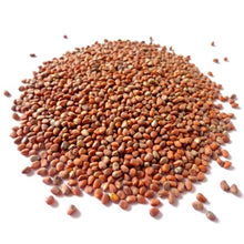 China Rose Rettichsamen Seeds grown for spicy, Flavorful Radishes