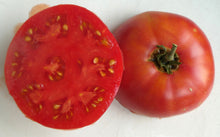 Rebel Yell Tomato Seeds (Solanum lycopersicum) for productive rows in the Vegetable Patch
