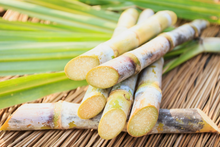Sugarcane and sugar fruits are rich in sugar. Bonsai plants in vases are perfect for the home and garden  ornamental garden plants. for Home Gardening