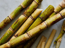 Sugarcane and sugar fruits are rich in sugar. Bonsai plants in vases are perfect for the home and garden  ornamental garden plants. Garden Plant Seeds