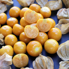 Ananas Tomatillo Seeds (Physalis philadelphica) for colorful blooms in the kitchen gardens