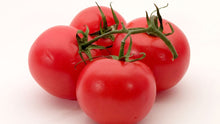 Red & Green Tomato Seeds for a reliable harvest in the Bonsai & Home Garden