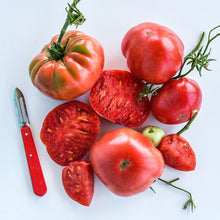Tomato Solanum Lycopersicum Pink Missouri Mystery Seeds for a reliable harvest in the Garden Fresh Eating
